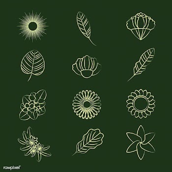 Botanical ornament element collection | Free stock vector - 494611