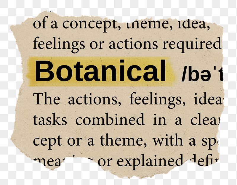 Botanical png word sticker, torn | Free PNG - rawpixel