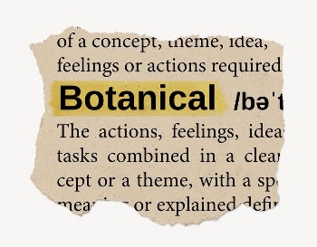 Botanical ripped dictionary, editable word | Free PSD - rawpixel