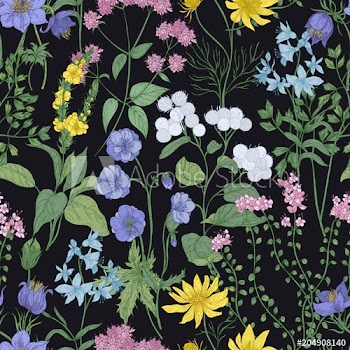 Botanical seamless pattern with elegant blooming flowers, inflorescences and herbs on black background