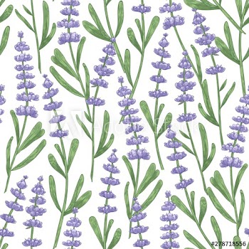 Botanical seamless pattern with lavender flowers hand drawn on white background