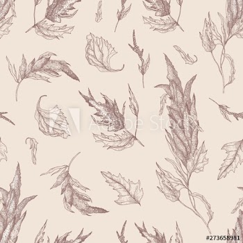 Botanical seamless pattern with quinoa or amaranth plant hand drawn with contour lines on light background