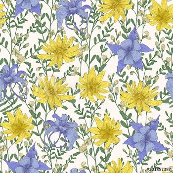 Botanical seamless pattern with wild blooming flowers and meadow flowering herbs on white background