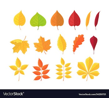 botanical set bright autumn leaves