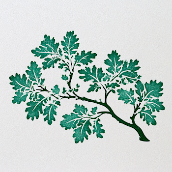 Botanical Stencil of an Oak Tree Branch