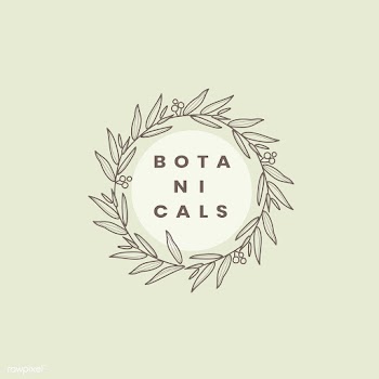 Botanical style badge design vector | Free stock vector - 523381