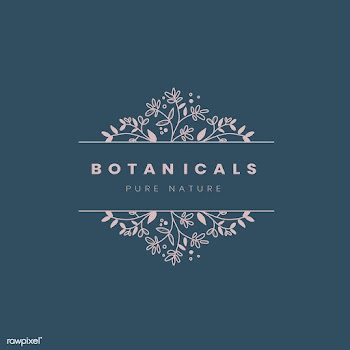 Botanical style badge design vector | Free stock vector - 523390