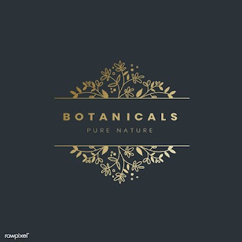 Botanical style badge design vector | Free stock vector - 523465