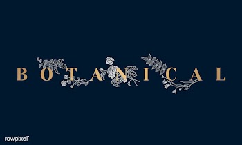 Botanical text | Free stock vector - 559506
