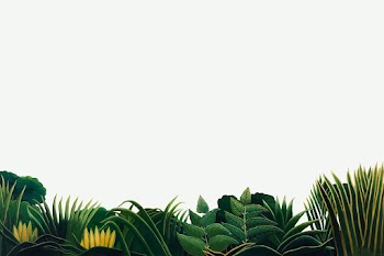 Botanical vector border, exotic leaves,… | Free stock illustration | High Resolution graphic