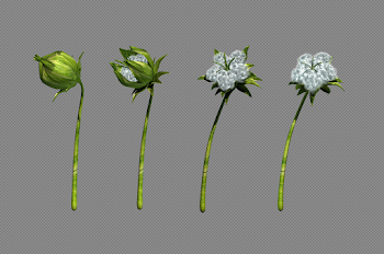 Botany - Cyber Science 3D | 3D Learning Packages for Education ...