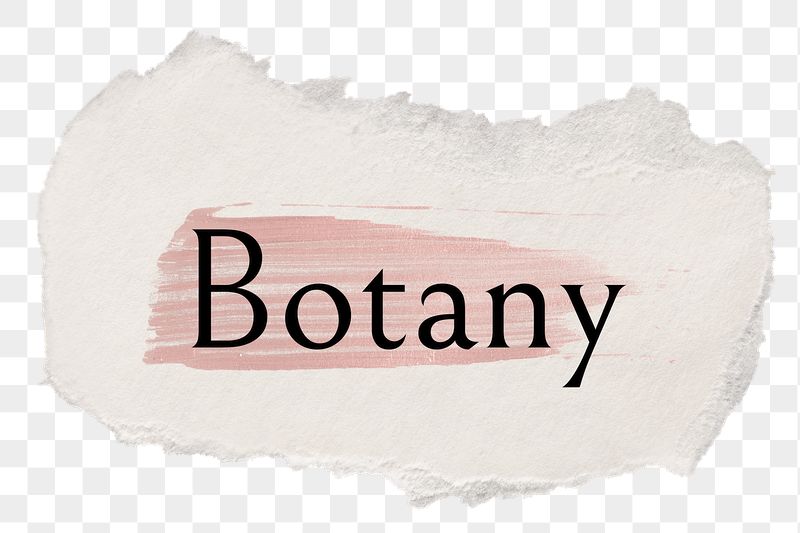 Botany png ripped paper word | Free PNG - rawpixel