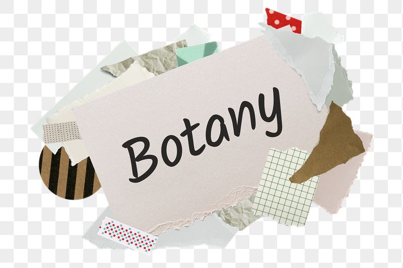 Botany png word sticker, aesthetic | Free PNG - rawpixel