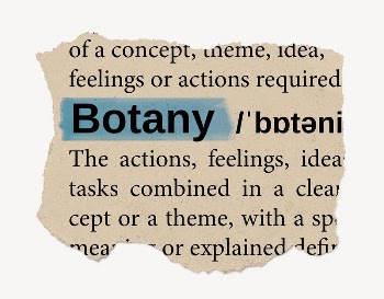 Botany ripped dictionary, editable word | Free PSD - rawpixel
