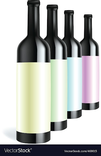 Bottle3 vector image