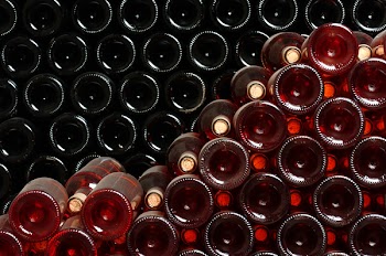 Bottles of wine stocked in a wine cellar.