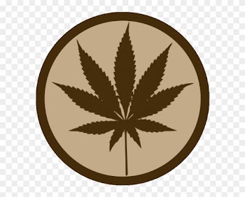 Boulder Criminal Defense Attorney - Marijuana Leaf