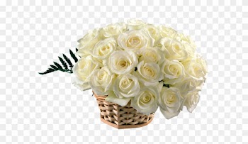 Bouquet Clipart Rose - Beautiful White Rose Flowers