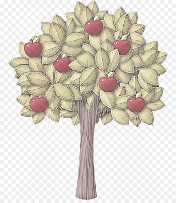 bouquet flower plant cut flowers tree