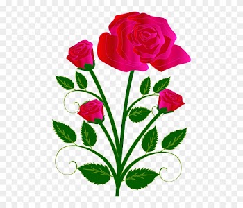 Bouquet, Flower, Rose, Red, Love Sponsored - Rose Drawings With Color