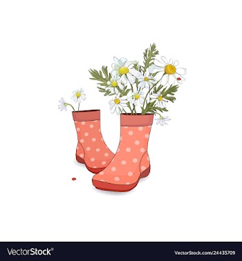Bouquet of daisies in red boots with polka dots vector image