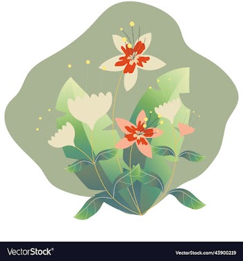 bouquet of delicate tropical flowers white