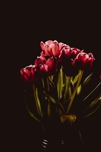 Bouquet of Flowers