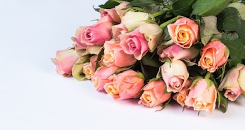 Bouquet of Pink Roses