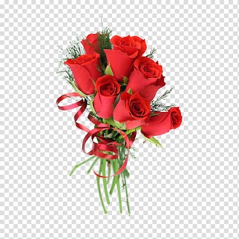 Bouquet of red roses, Beach rose Flower bouquet Rosa chinensis, Bouquet of roses transparent background PNG clipart