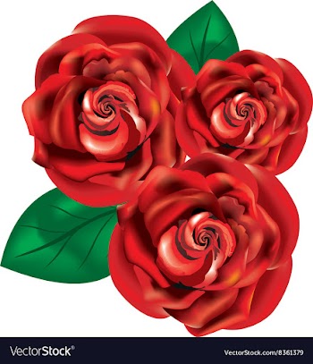 Bouquet of Red Roses vector image