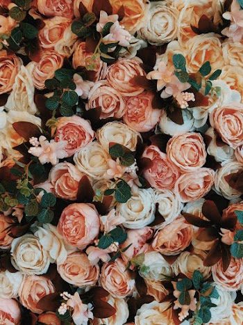 Bouquet of Roses