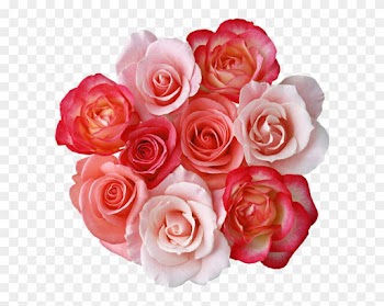 Bouquet Of Roses Clipart Clipartfox - Rose Flowers Clipart Png