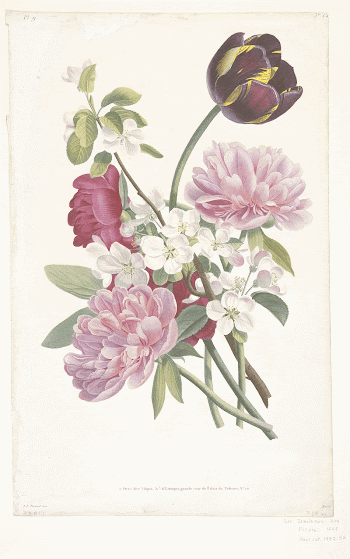 Bouquet of Tulip, Peonies, and | Free Photo - rawpixel