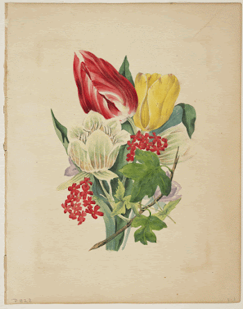 Bouquet of Tulips, from Flora's | Free Photo - rawpixel