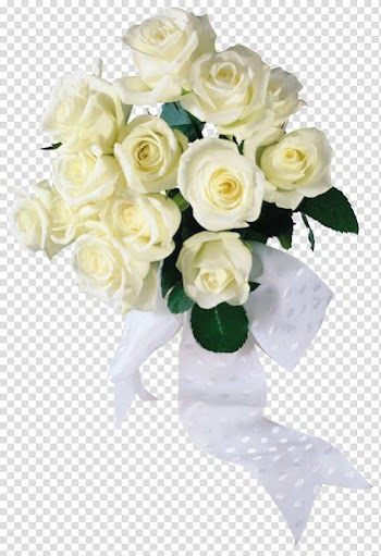 Bouquet of white rose, Flower bouquet Rose White, White roses transparent background PNG clipart