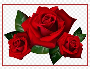Bouquet Png Rose Bouquet Png Stunning Bouquet Of Frame - Rose Clipart