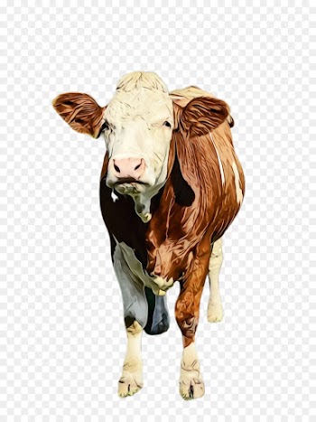 bovine bull dairy cow livestock animal figure
