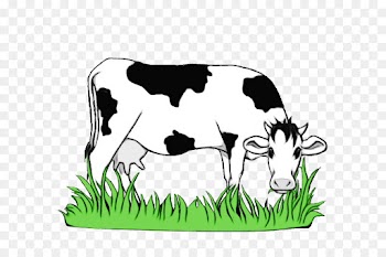 bovine grass green dairy cow clip art