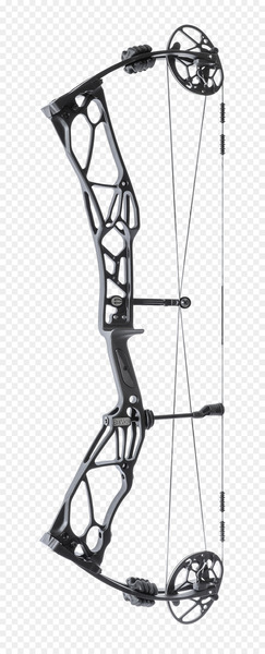 Bow and arrow Compound Bows Archery Crossbow Bowhunting - arrow 