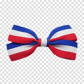 Bow tie Birthday Party Gift Humour, tricolor carp transparent background PNG clipart