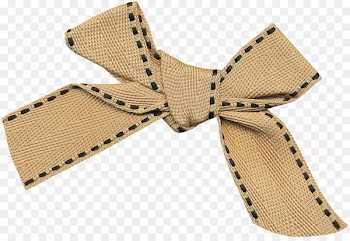 Bow tie Necktie Shoelace knot Designer - Bow tie 
