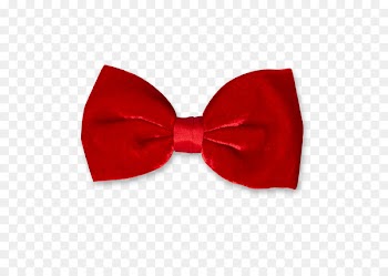 Bow tie Necktie Velvet Lazo Clothing Accessories - suit 