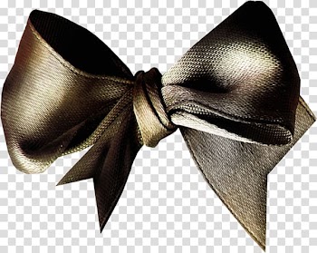 Bow tie Shoelace knot Butterfly Ribbon, Floating bow transparent background PNG clipart
