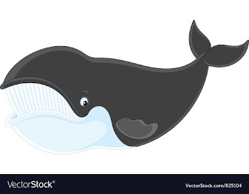 Bowhead whale vector image
