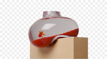 Bowl Aquarium Fish Shelf Glass - Foam tank fish tank 