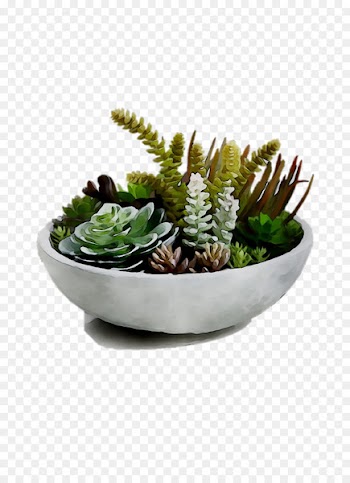 Bowl M -  