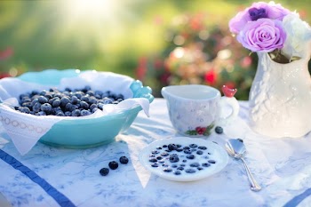 Bowl of Blue Berries on a Table in a Garden on a Sunny Day