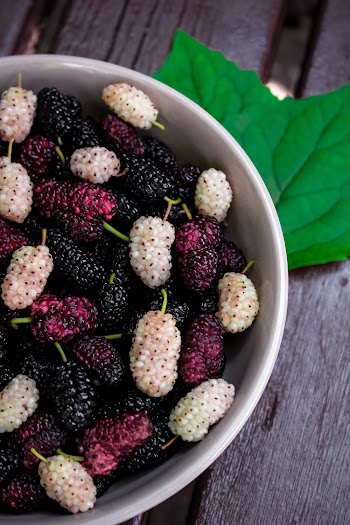 Bowl Of Mulberries 