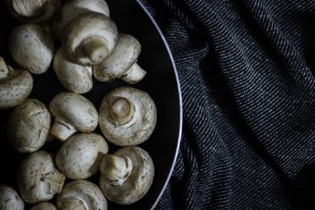 Bowl of Mushrooms