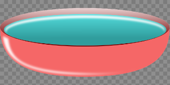 Bowl Pink Water - Free vector graphic on Pixabay
